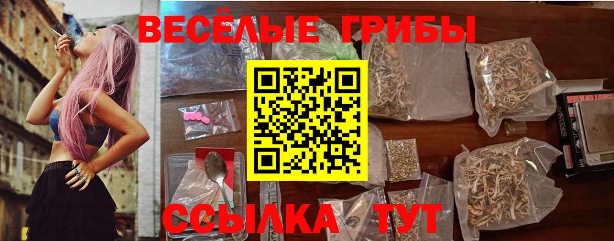 Галлюциногенные грибы ЛСД  Галлюциногенные грибы мицелий  Керчь  что такое   Вход с VPN 