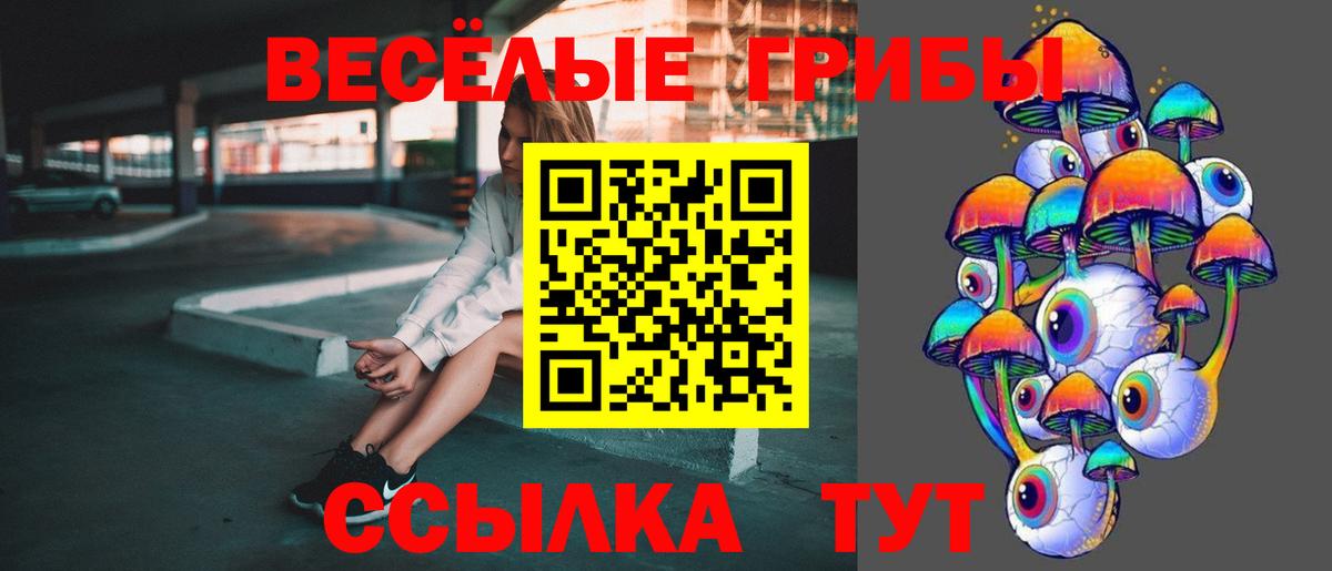 Псилоцибиновые грибы Psilocybe Керчь